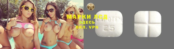 гашик Сафоново